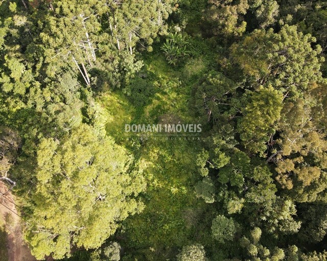 Ampla Área de Terreno à Venda na Região do Alpes de Campos do Jordão - Campos do Jordão/SP - Foto 3