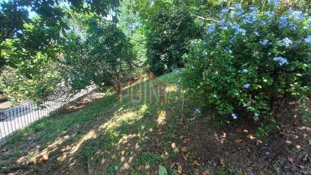 Terreno em Condomínio- Maria Paula - Foto 4