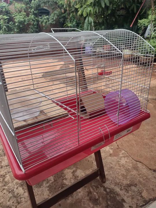 Gaiola para Hamster Maxi - Foto 5