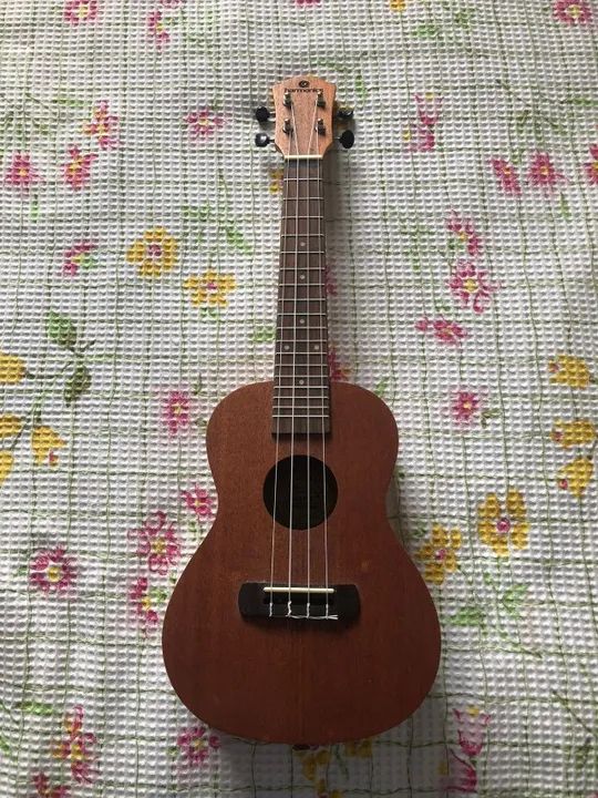 Ukulele 