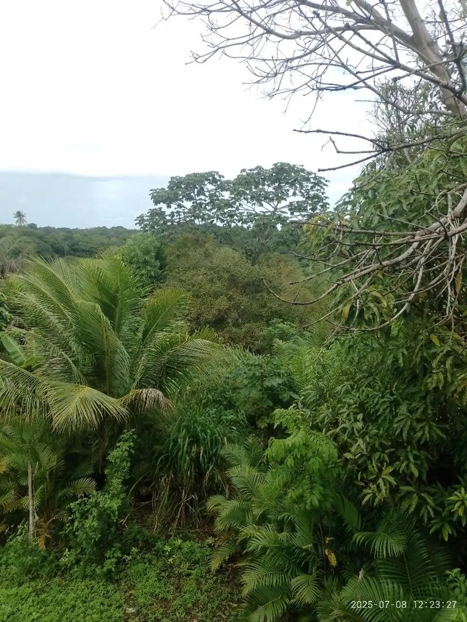 Sítio em Camaçari  - Foto 3