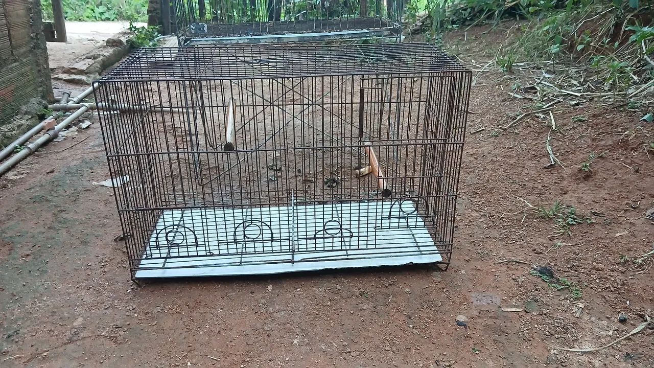 Gaiola para pássaros - Foto 4