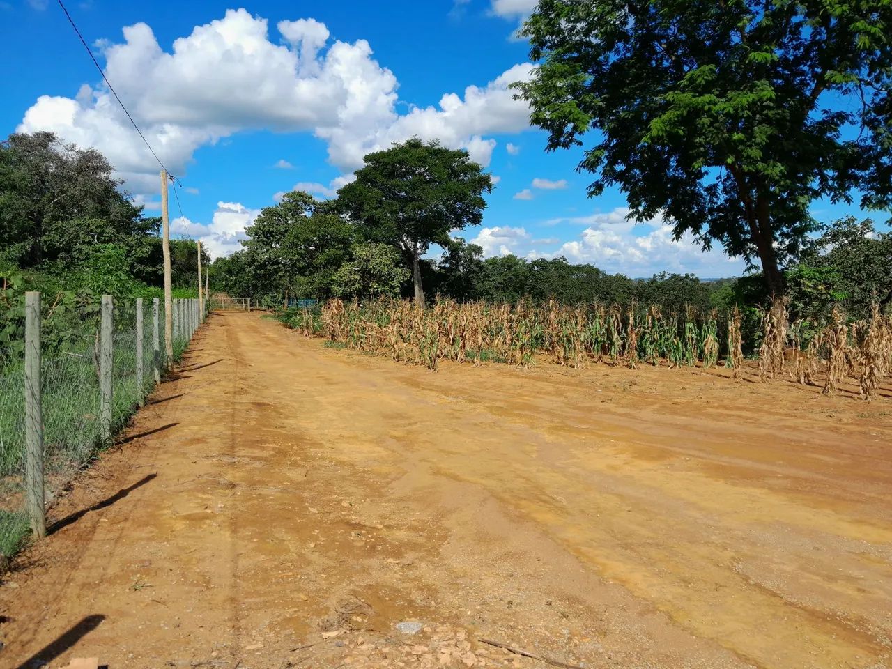 Chácara 7.500M2 em Bonfinópolis-Go  - Foto 2