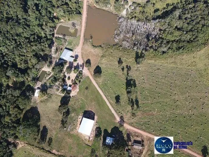Fazenda à venda no Município de Barra do Garças-MT - 1.827 Hectares