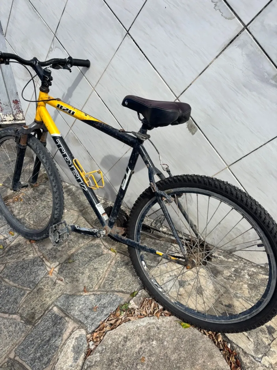 Bicicleta