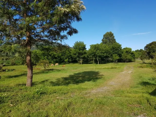 Propriedade Rural 1,65 ha com Casa, Galpão e Açudes - Campo Novo, Bom Retiro (SC)