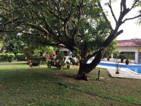 Chácara em aldeia para páscoa e eventos - Foto 7