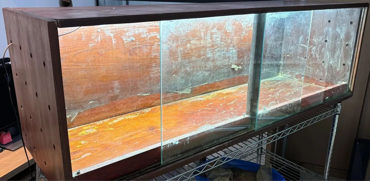 Terrário para répteis - Foto 2