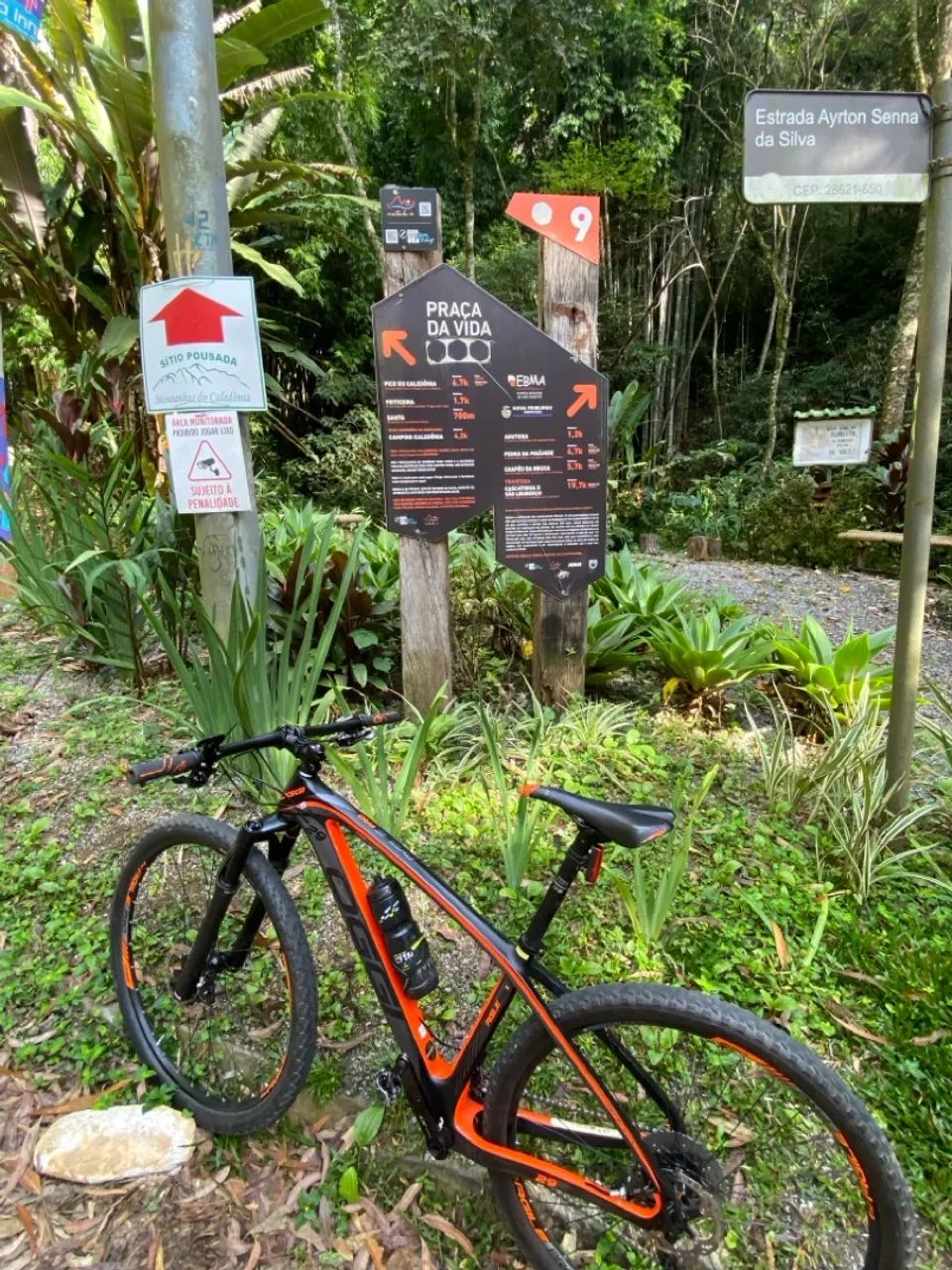 Bicicleta Oggi agile pro - carbon  - Foto 5