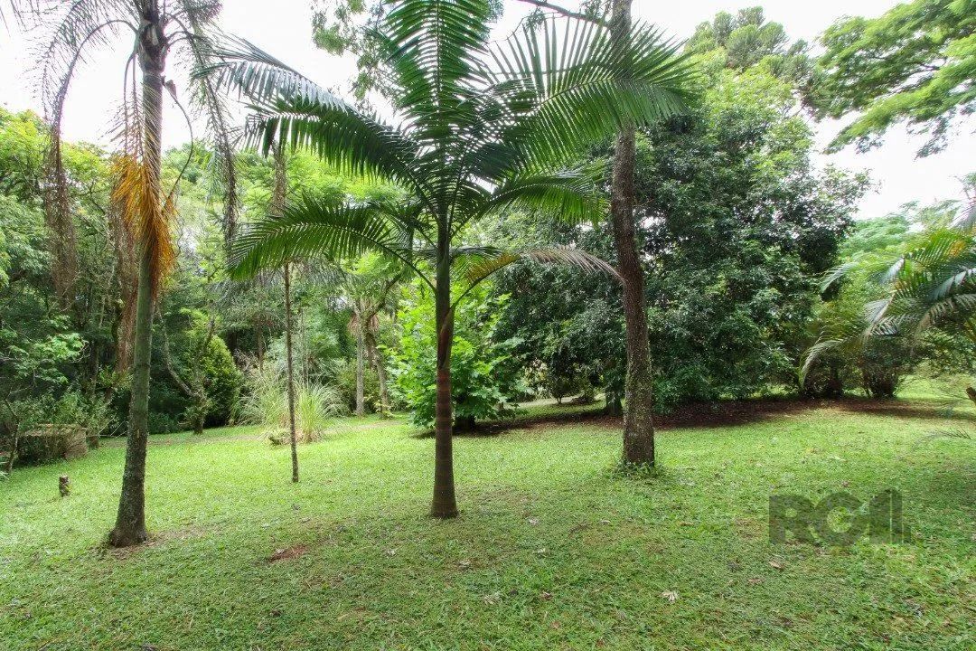 Casa com 3 quartos, suite em terreno com 7.320m² - Belem Velho - Foto 4