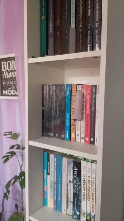 Livros em ótimo estado - Vendendo para realizar um sonho