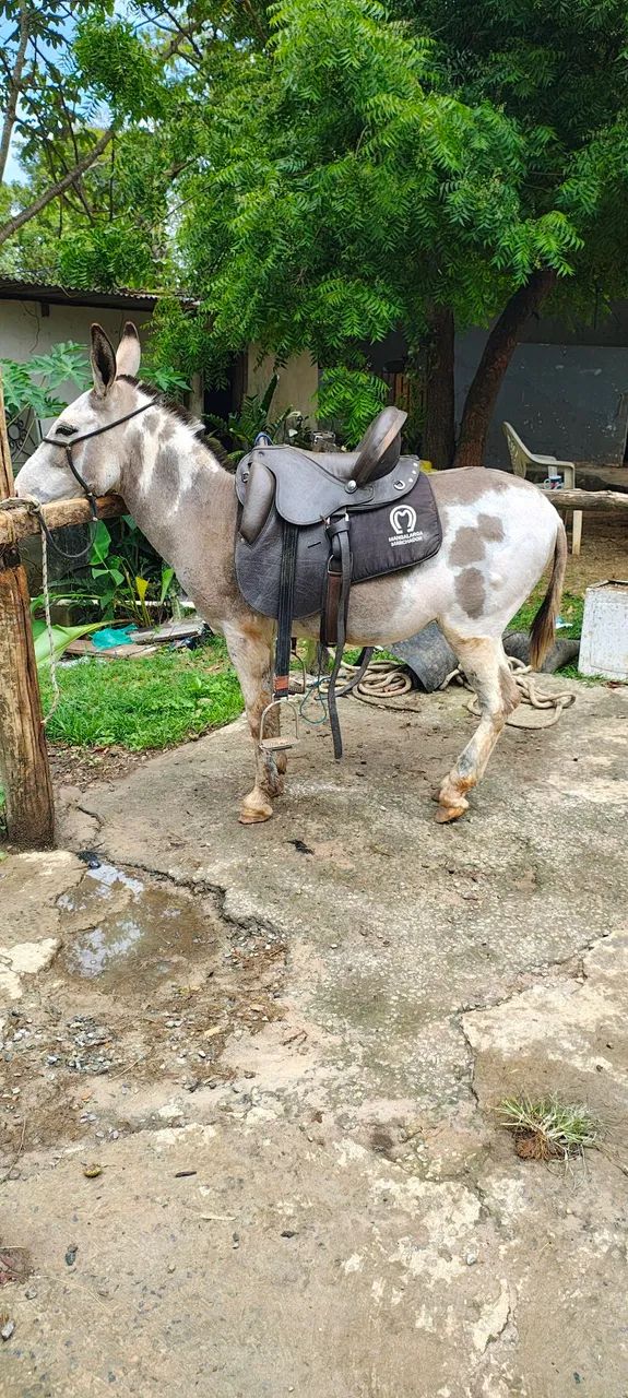 Black fridey - Foto 4