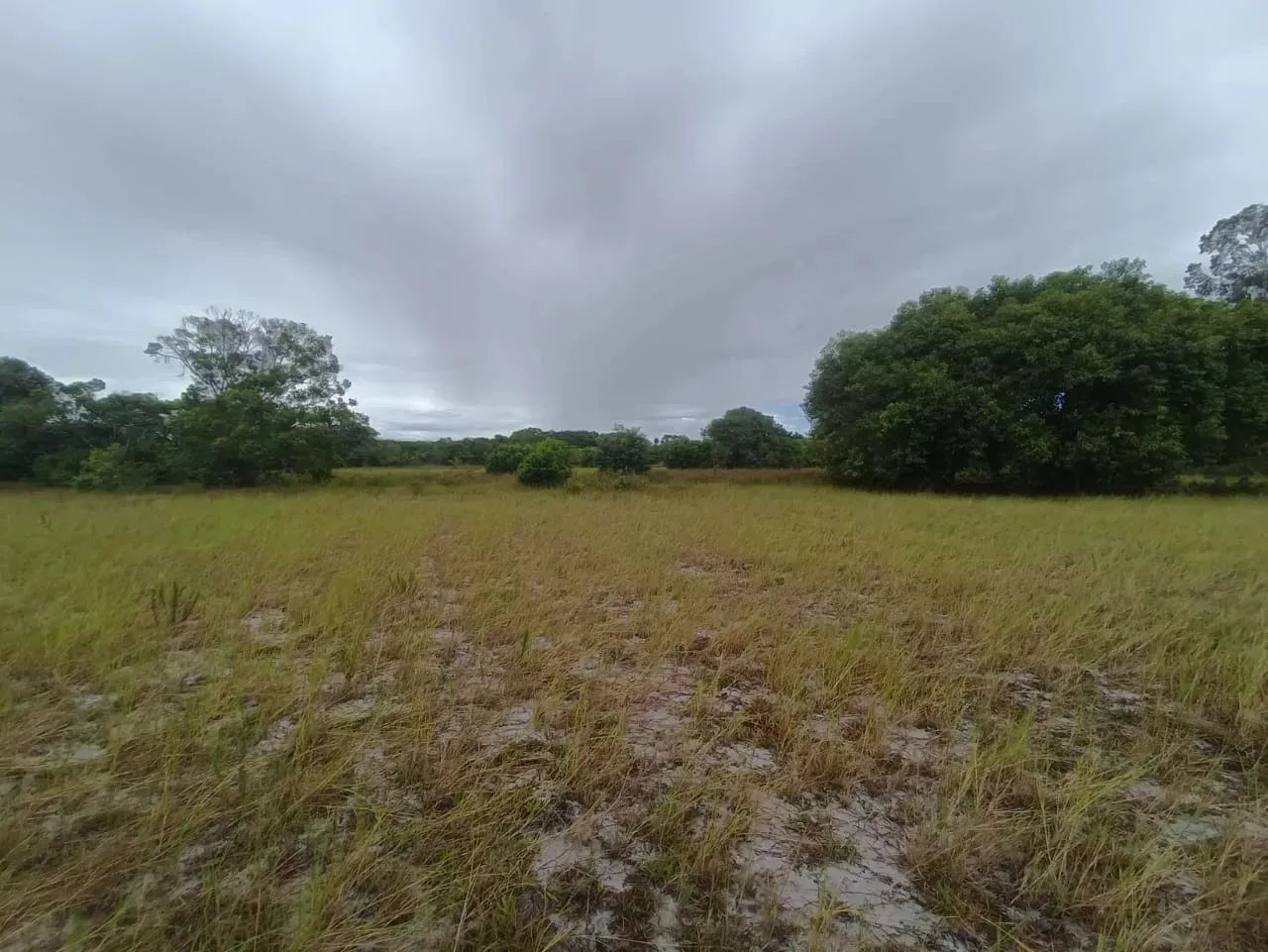 Área em Quissamã com 1900 m2 poucos metros do asfalto - Foto 5