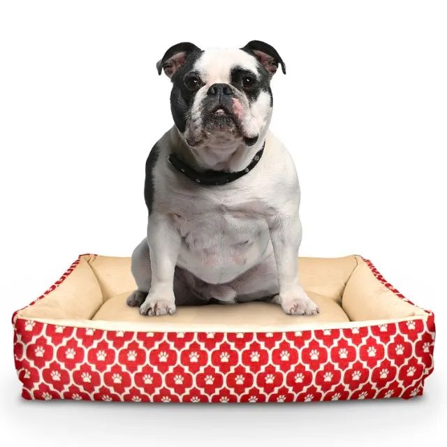 Caminha Pet Cachorro Gato Resistente Premium Estampada M - Foto 2