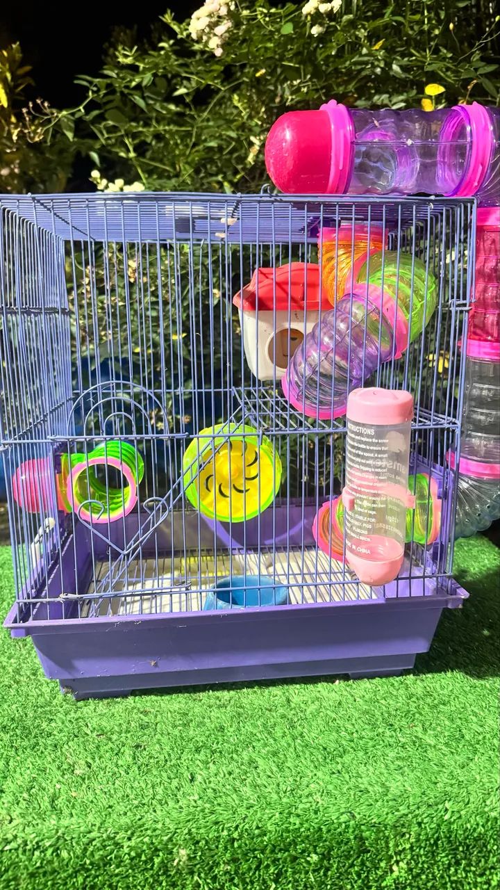 Gaiola Para Hamster/Rato 64684119243650120