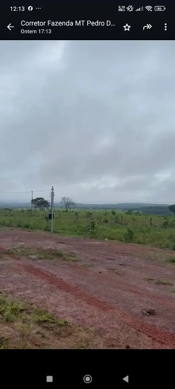 Fazenda arrendamento 4.800 hec em primavera leste em pasto