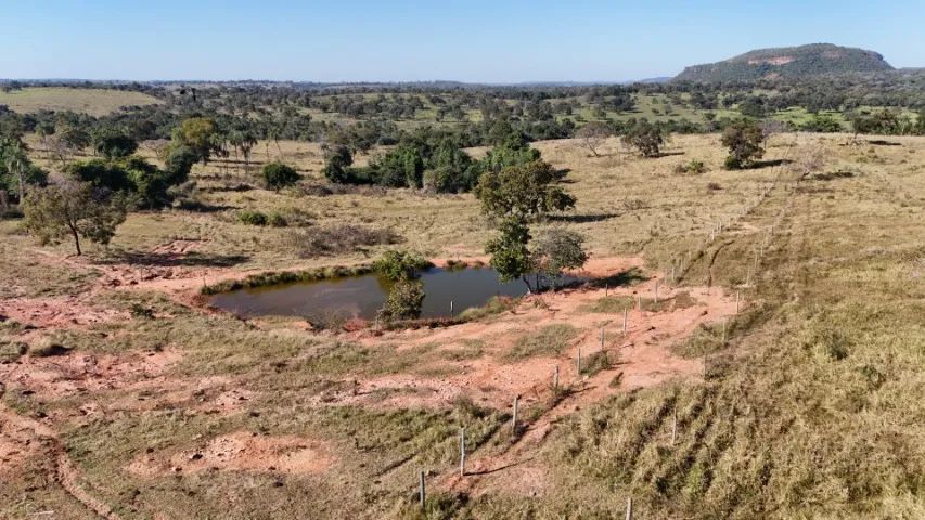 Fazenda de 204 Hectares São Gabriel do Oeste! - Foto 4