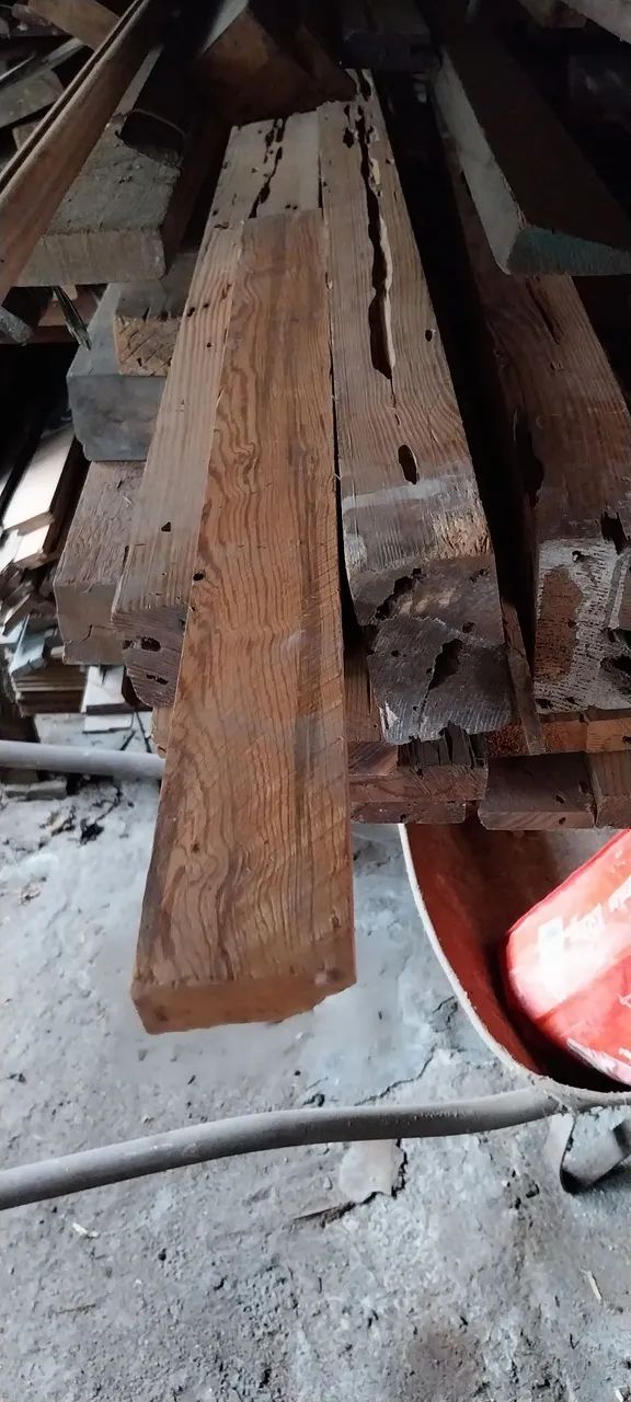 Lote de pedaços de PINHO DE RIGA