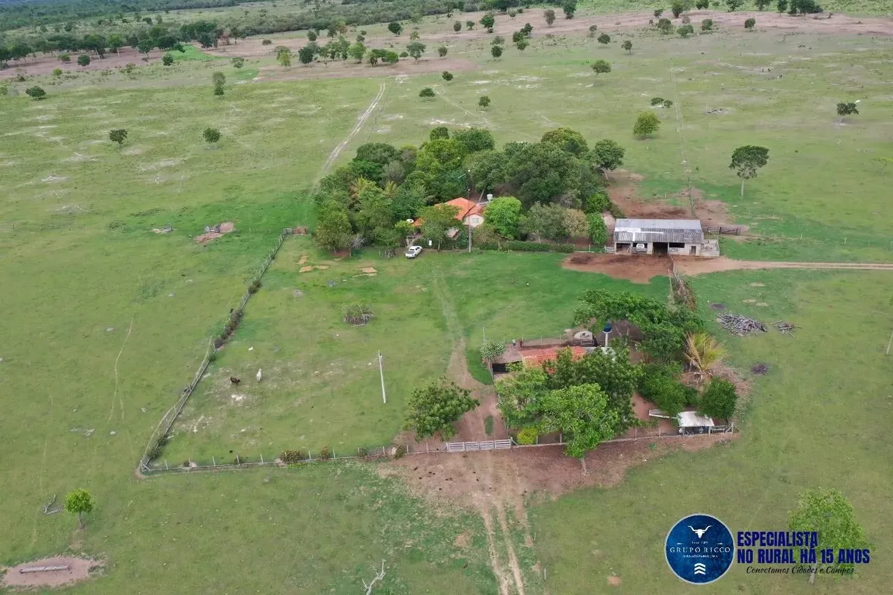 Fazenda à venda no município de Araguaiana-MT - 1.920 Hectares!