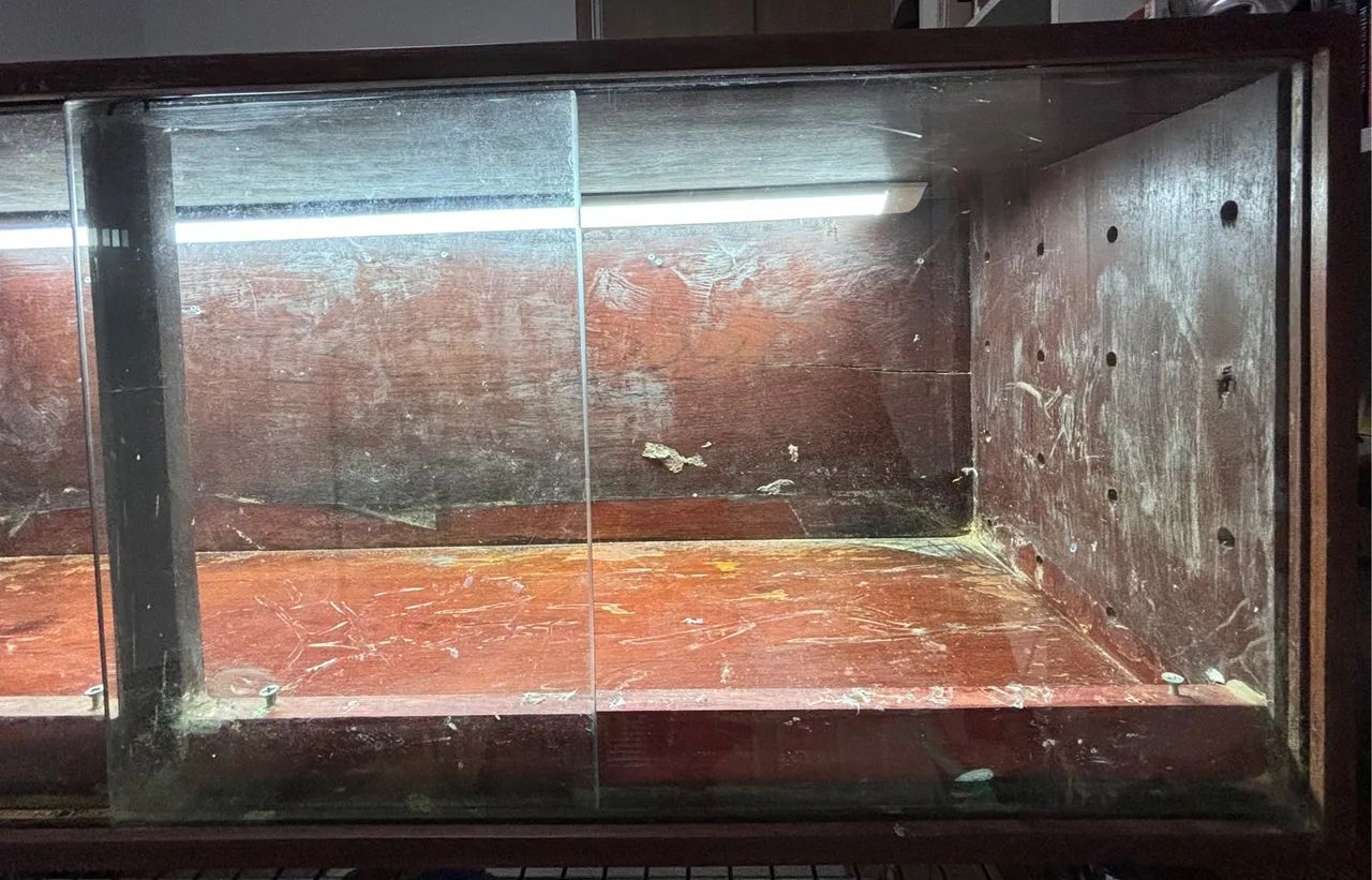 Terrário para répteis - Foto 5