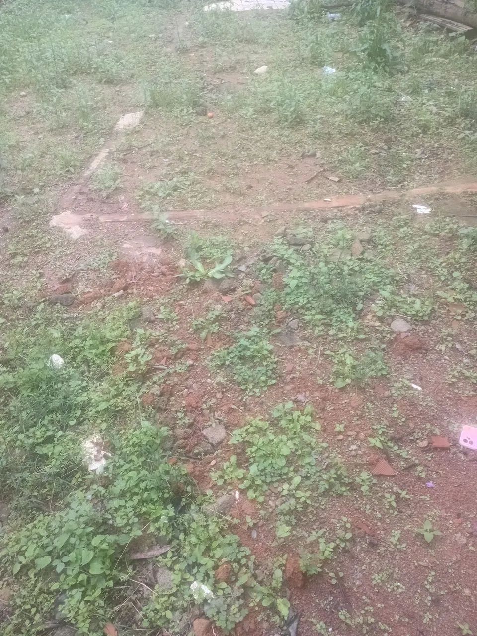 Terreno oportunidade  - Foto 4