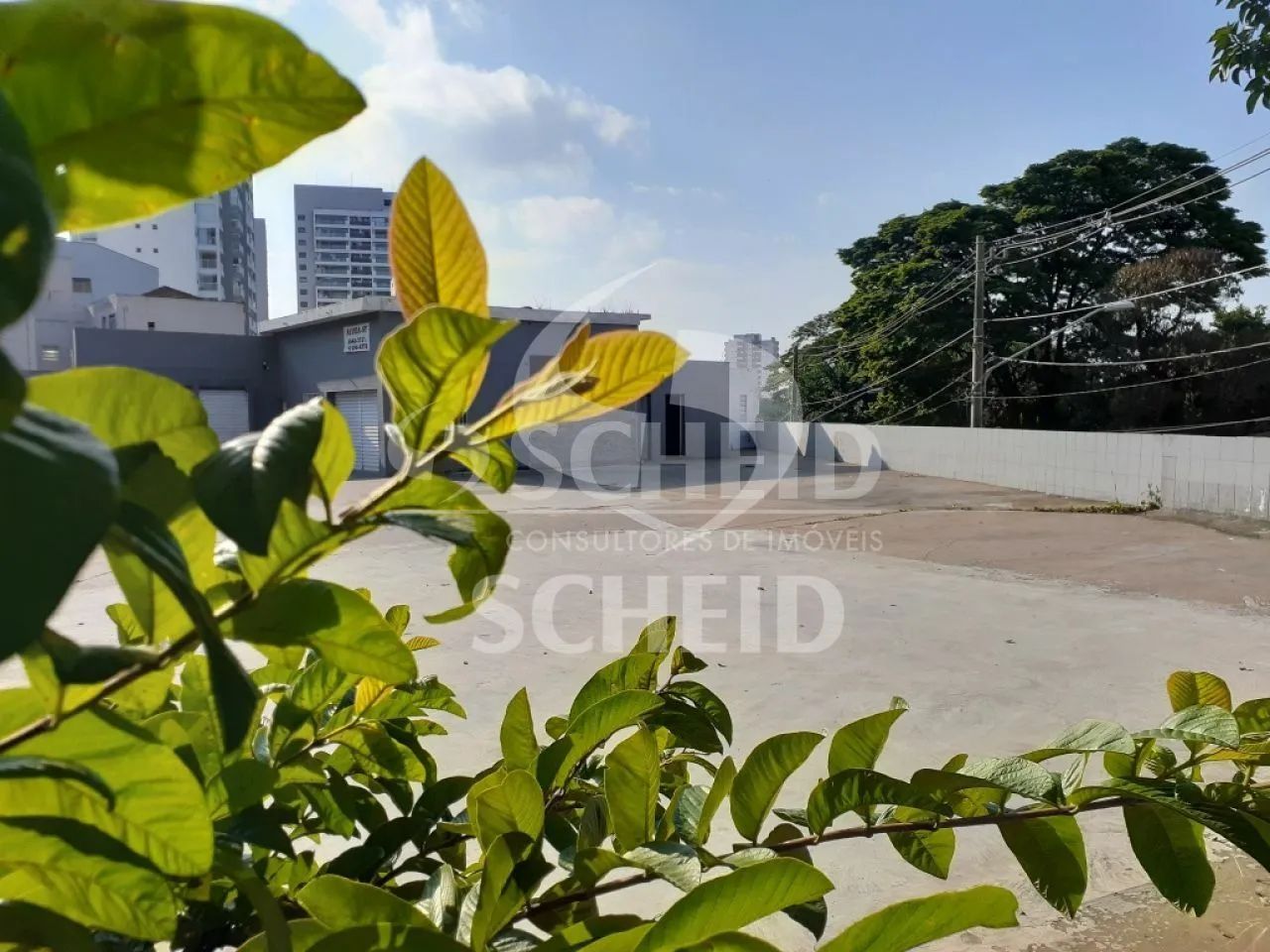 Terreno comercial para Locação - Foto 2