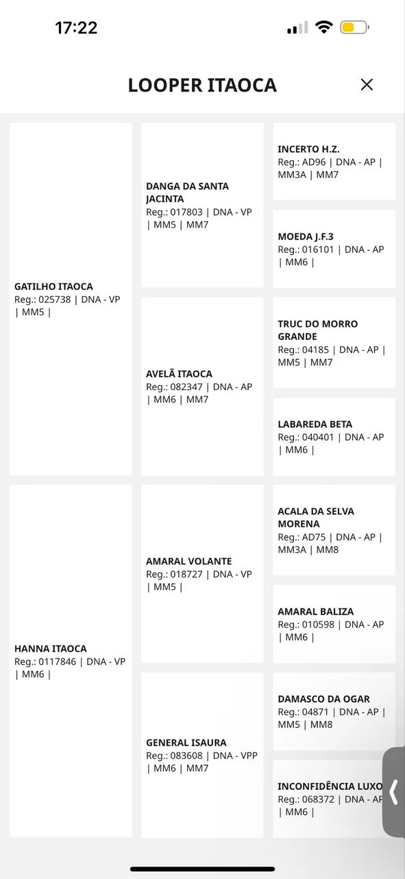 Cobertura Mangalarga Marchador Premiado ? - Foto 6