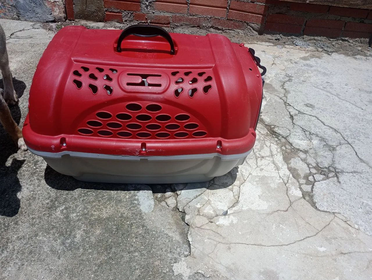 Vende-se caixa de transporte para pet!  - Foto 6