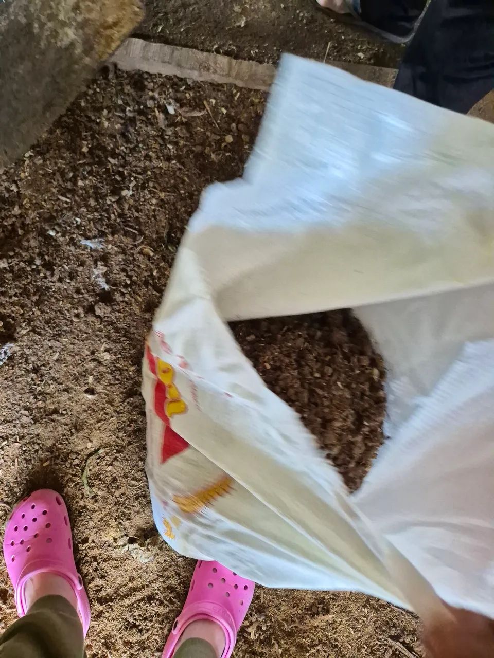 Esterco de galinha - Foto 3