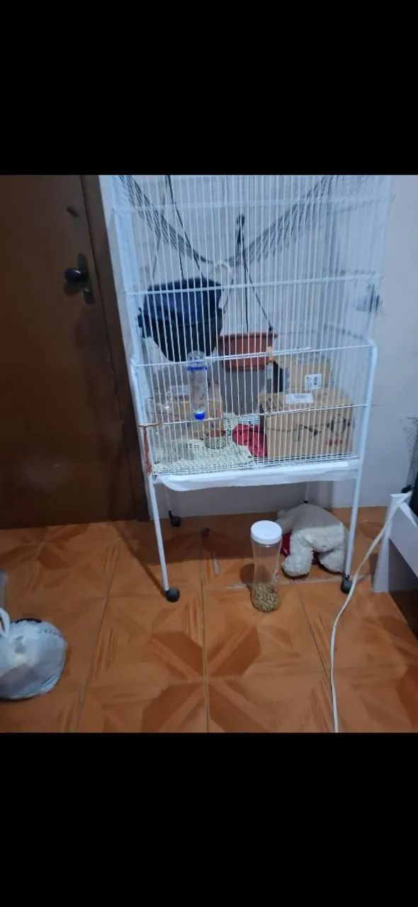 Gaiola grande para pássaro, rato Twister, roedores + ração roedor equilibrato 