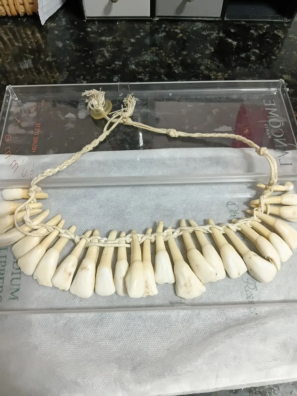 Colar de dente de animal 