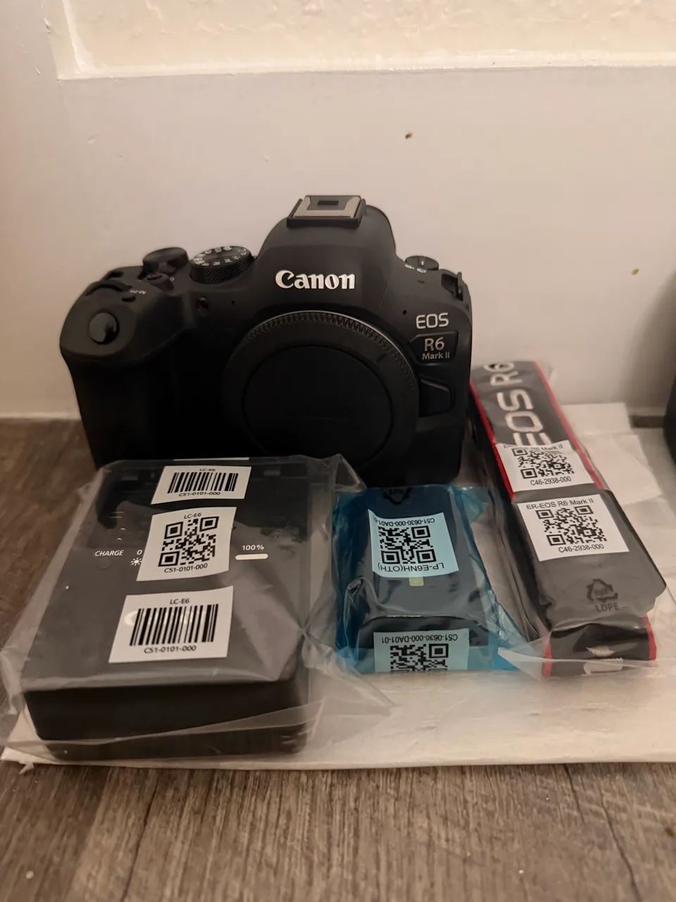 Câmera CANON R6 Mark ii - nova 