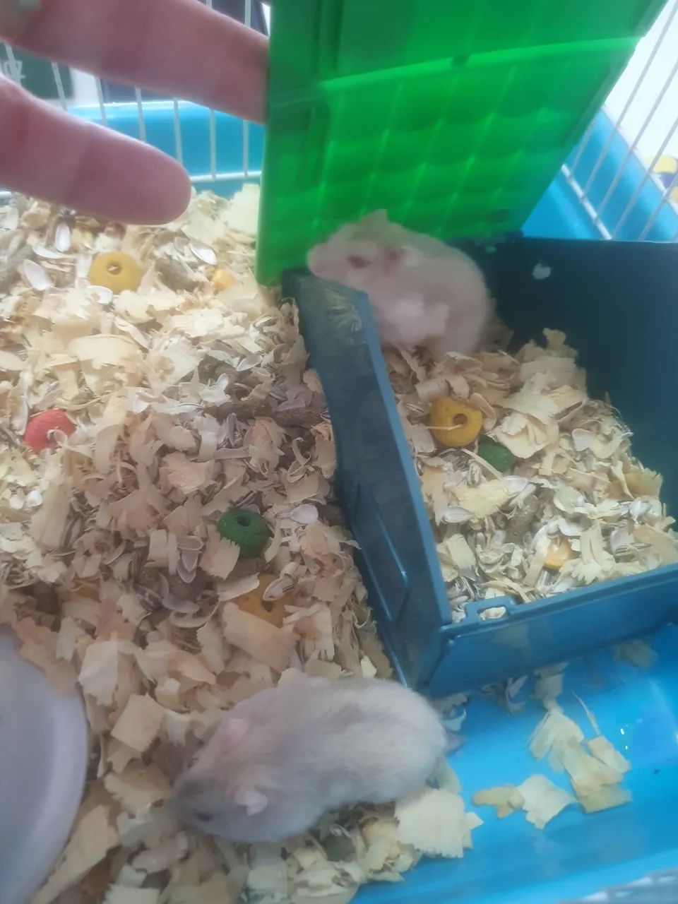 RAMISTER RUSSO R$ 35 ,00 - Foto 4