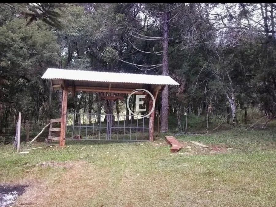 Sitio - Campo Belo do Sul - Foto 4