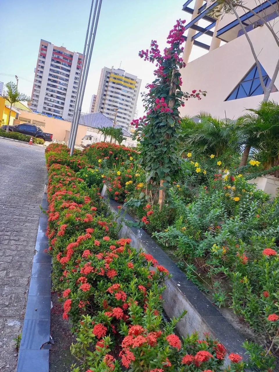 JARDINEIRO - Servicos de Jardinagem 
