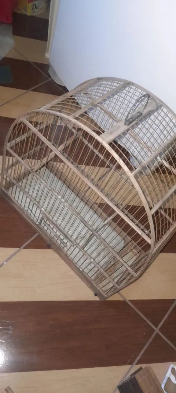 Gaiola  - Foto 3