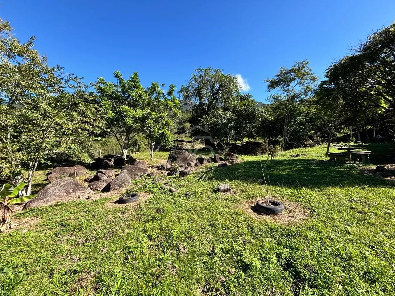 SÍTIO COMPLETO COM 1,76 HECTARE, 2 AÇUDES E CASA COM 4 QUARTOS  PAULO LOPES - Foto 5
