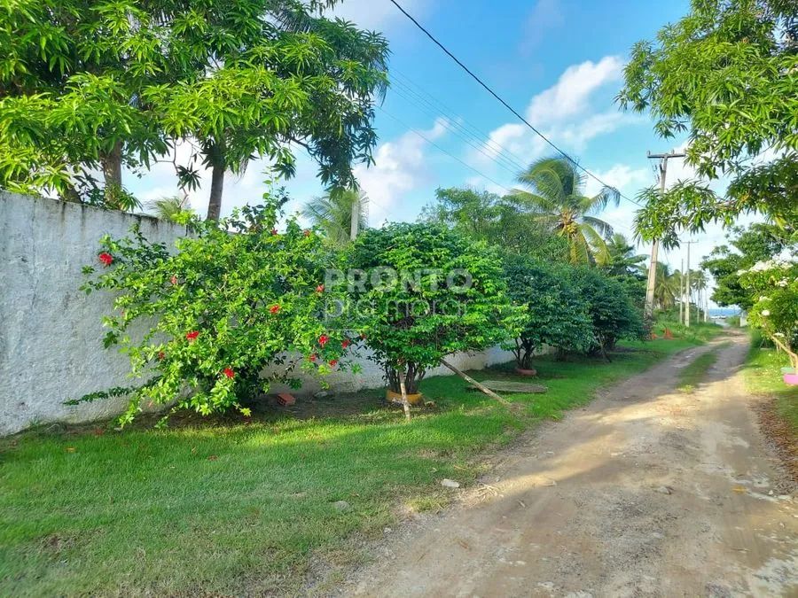 Casa com 7 quartos em Paiva - Foto 4