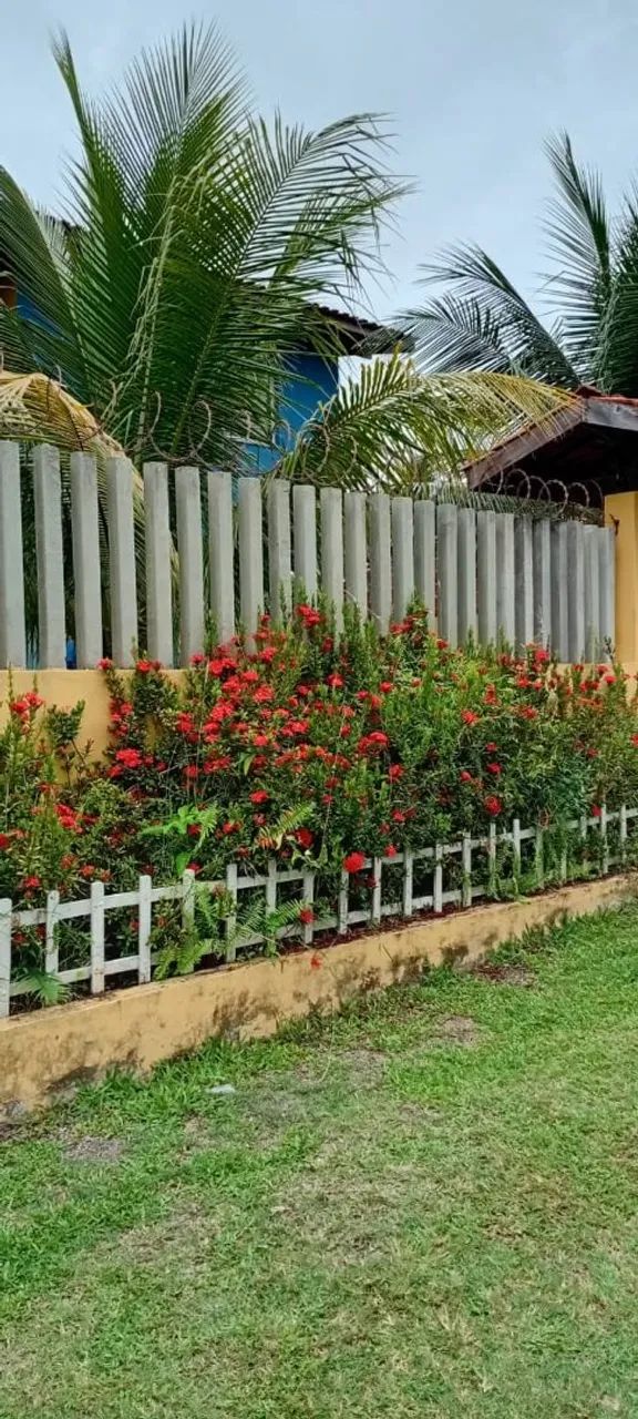 Foto - Vera Cruz - 