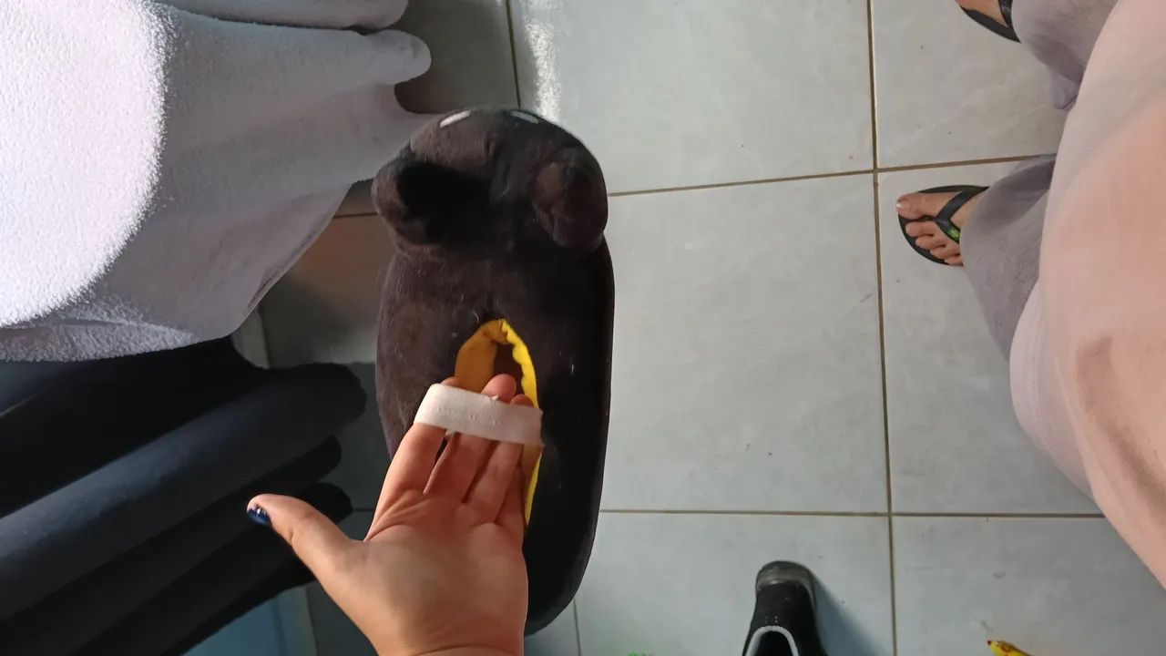 Pantufa  - Foto 4
