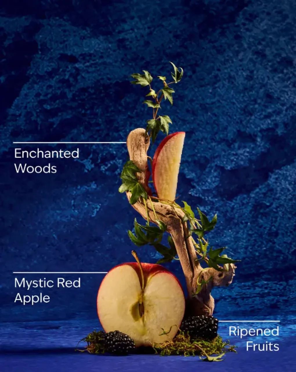 Bath & Body Works - Sabonete liquido branca de neve - Foto 5