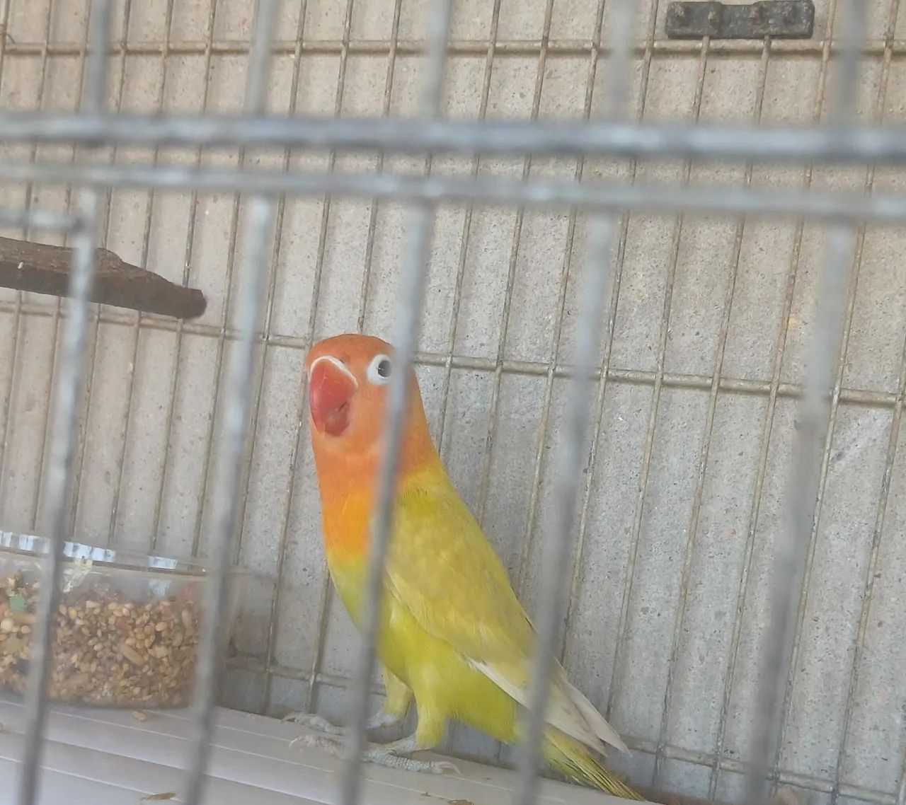 Vendo  - Foto 2