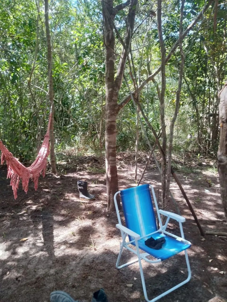 Terrenos na Linha Verde  - Foto 5