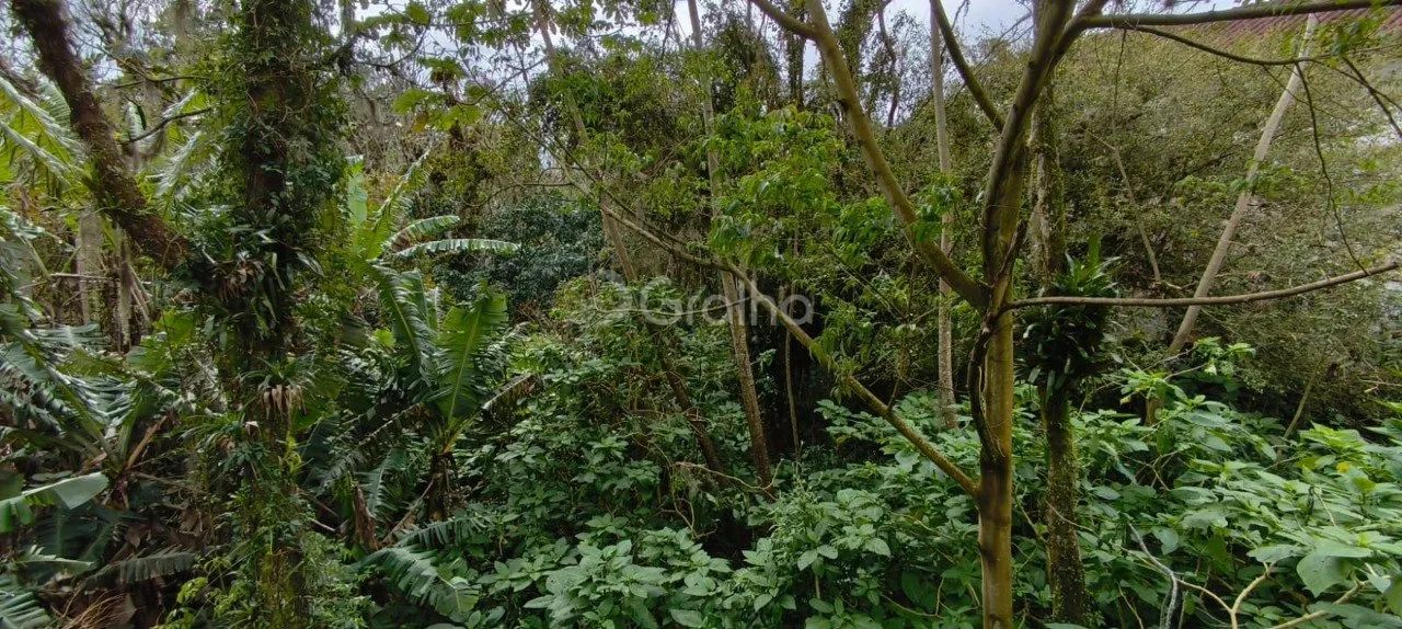 Terreno de 6.284m² no Pantanal - Foto 4