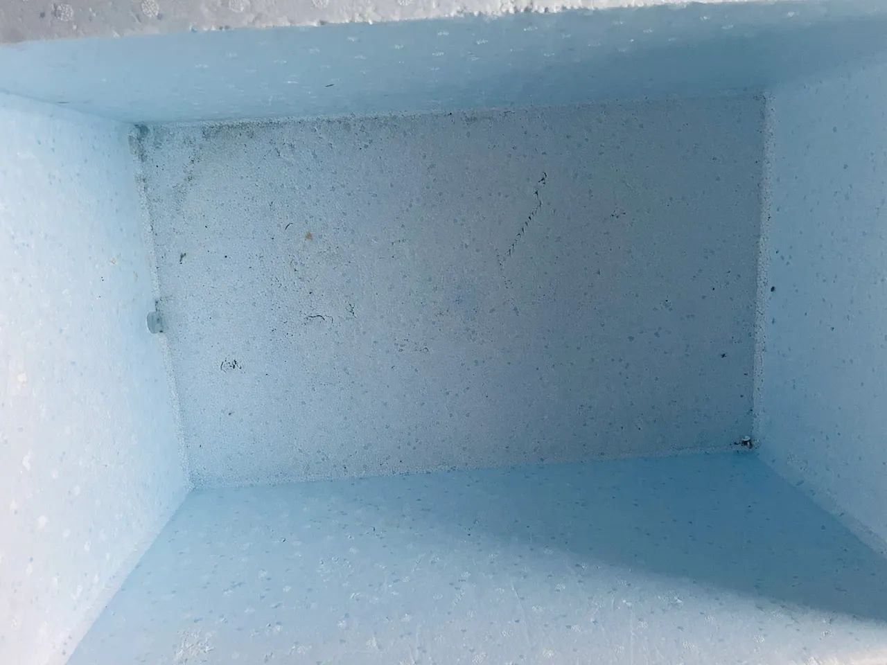 Vende-se caixa de isopor 60 litros 