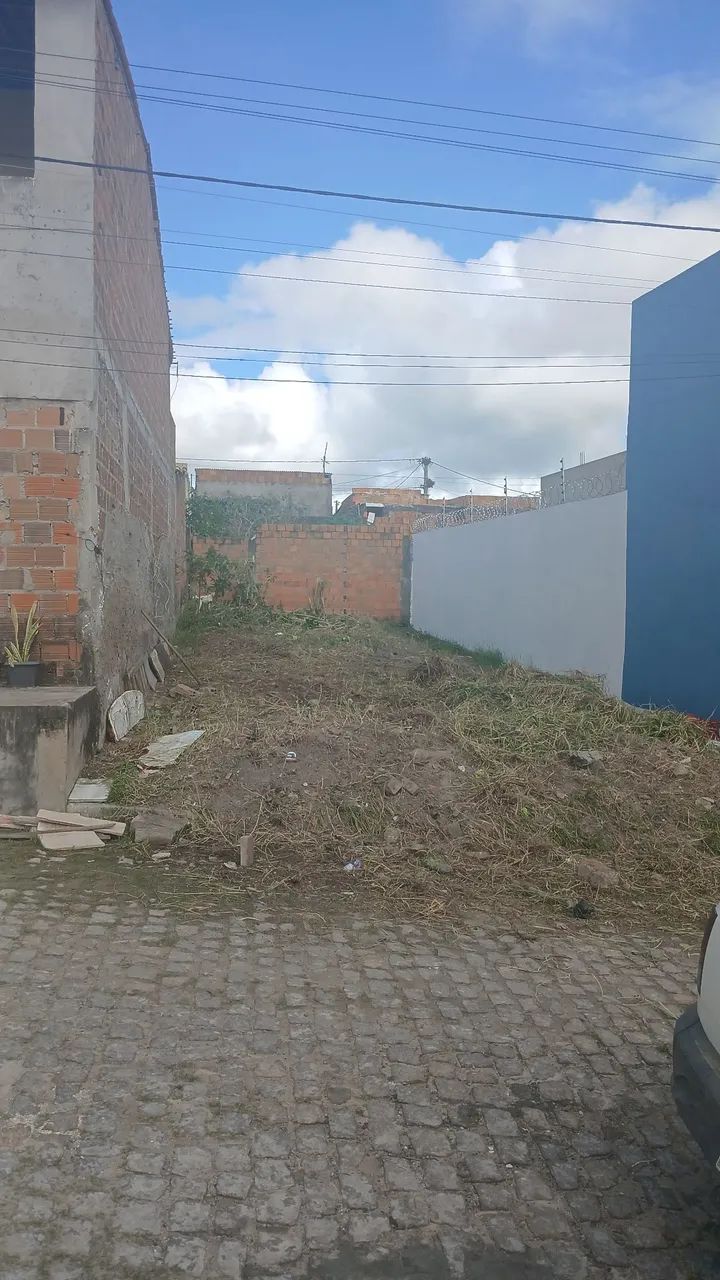 Terreno TOMBA 65 MIIL - Foto 3