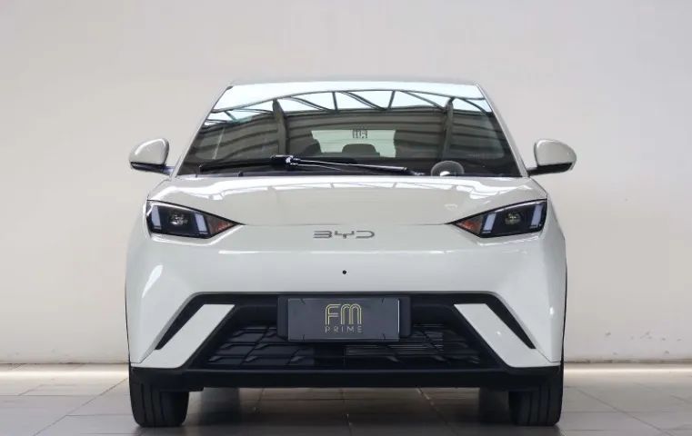 BYD Dolphin Mini (Elétrico) 2027 - Foto 2