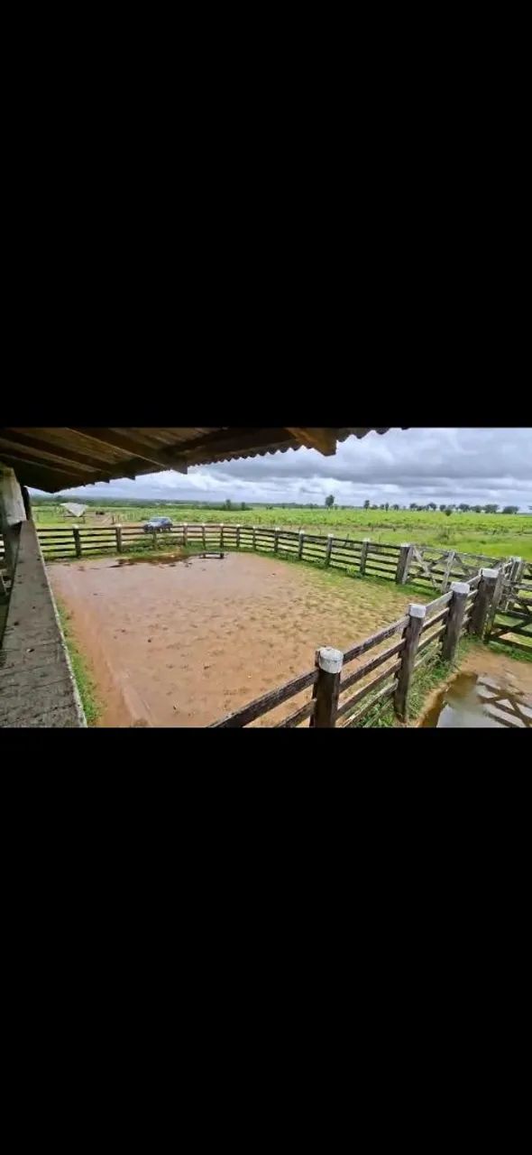 Fazenda a venda regiâo do pará  - Foto 2