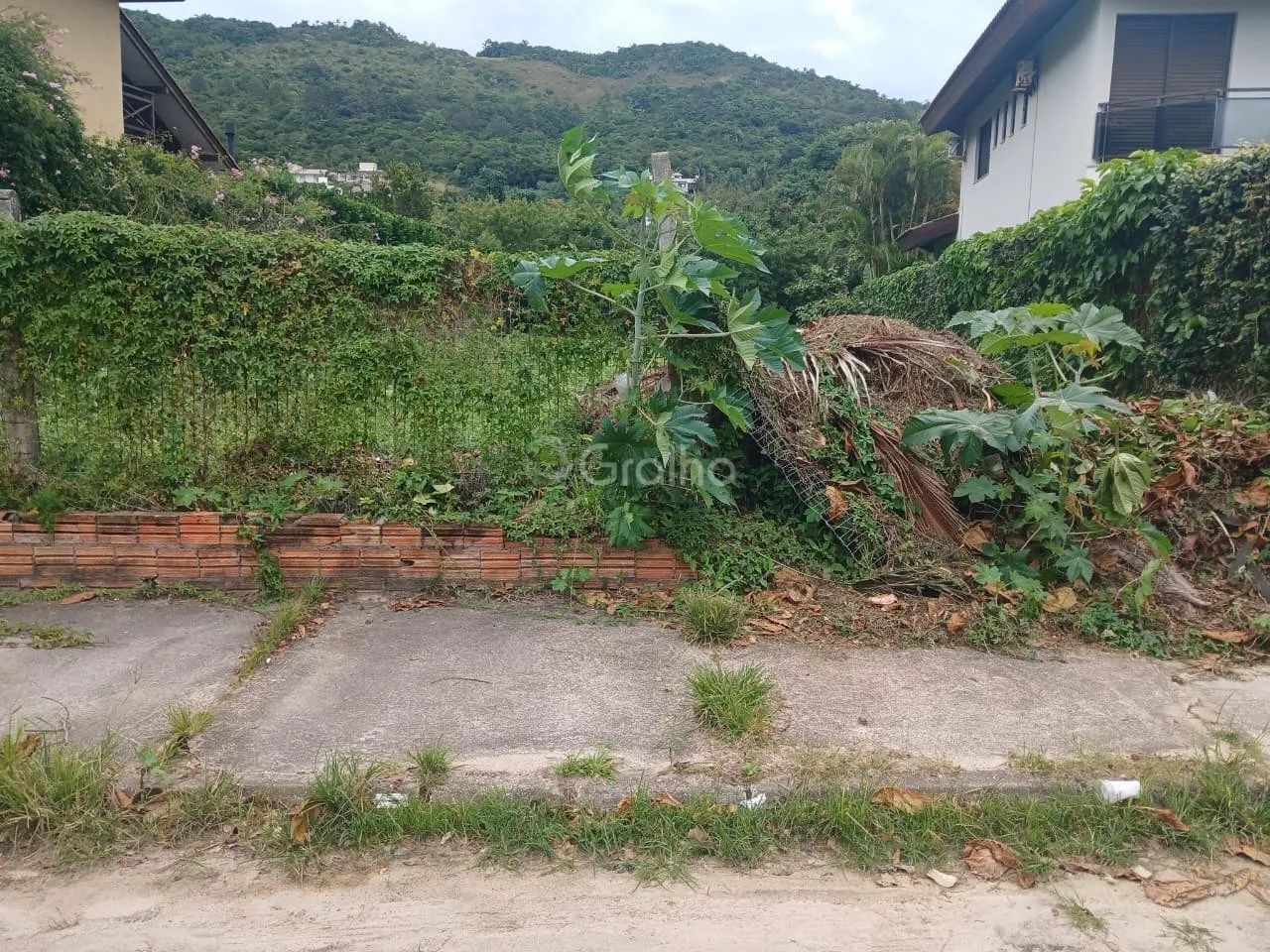 Terreno plano com 605m² na Praia Brava, Florianópolis - Foto 2