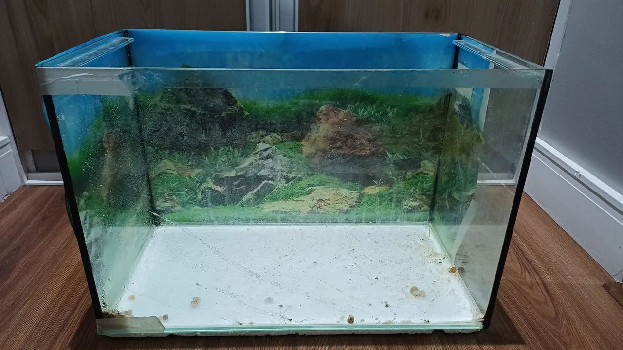 Aquario de vidro retangular  - Foto 3